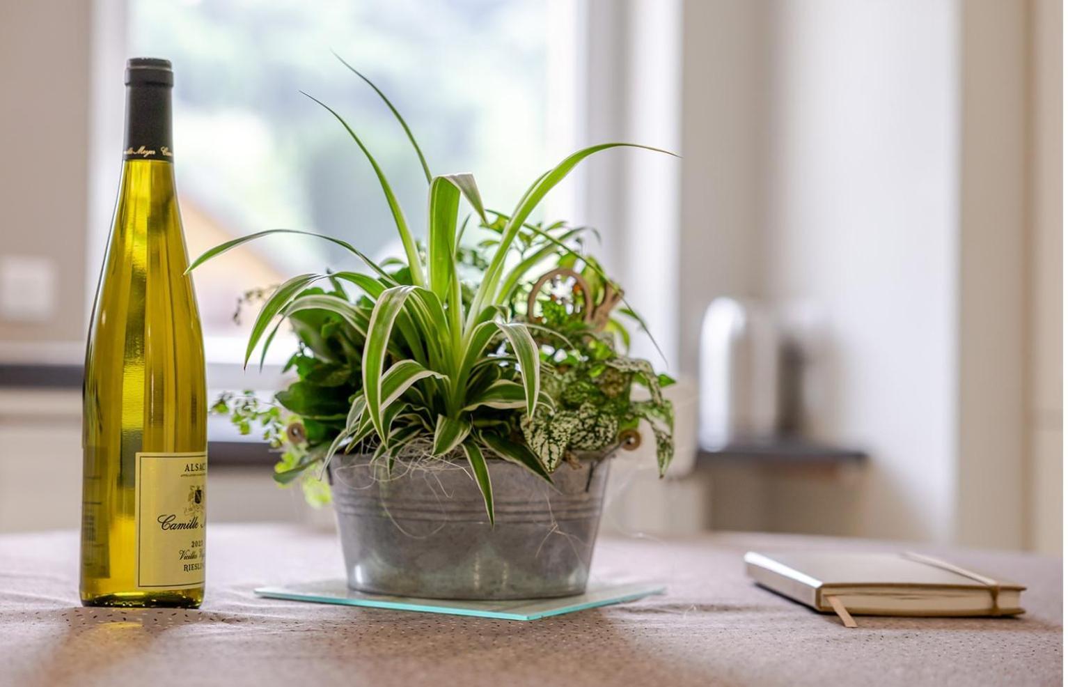 Appartement Bethanie Steige Luaran gambar